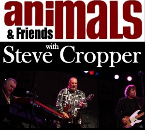 animals-stevecropper